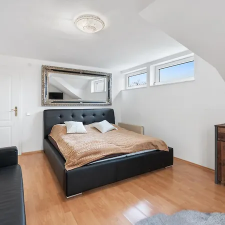 Black Dragon Haven Luxury With Pool, Sauna & Jacuzzi Villa Praag