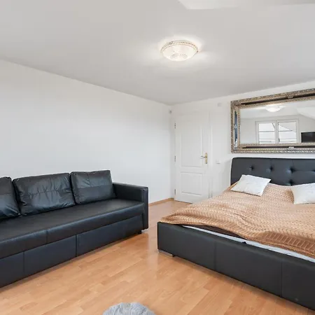Black Dragon Haven Luxury With Pool, Sauna & Jacuzzi Villa Prag