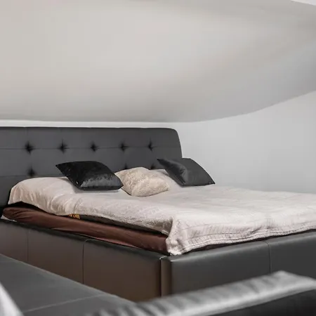 Black Dragon Haven Luxury With Pool, Sauna & Jacuzzi Villa Praag